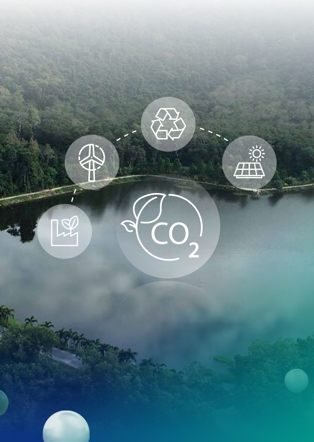 การพัฒนาระบบนิเวศที่เหมาะสม