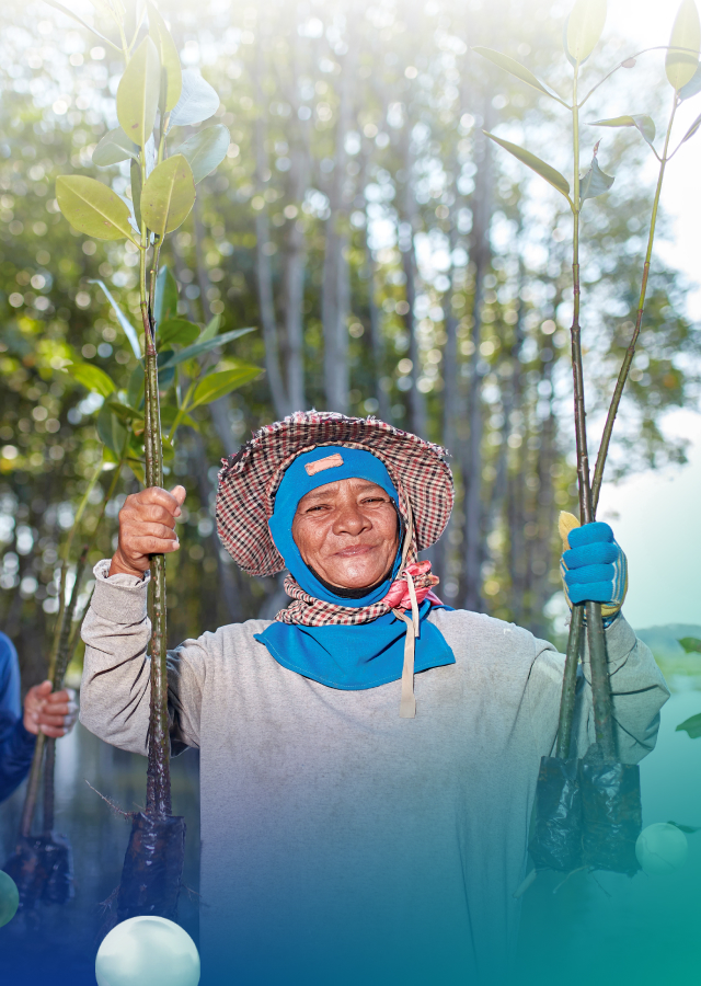 การลดการปล่อยก๊าซเรือนกระจก